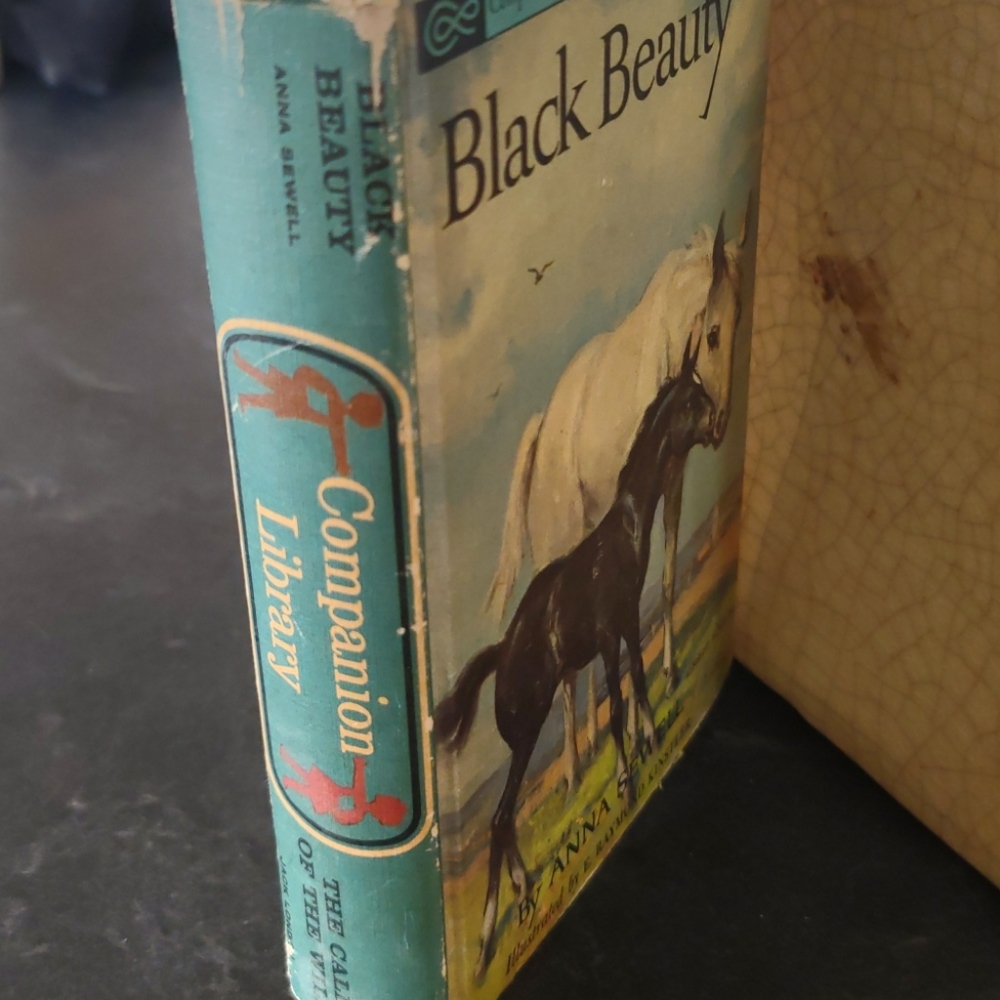 Companion Library - Picture 2 of 8